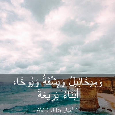 Picture 03 - ١ أخبار 8:16 AVD - وَمِيخَائِيلُ وَيِشْفَةُ - Bible Verse Picture