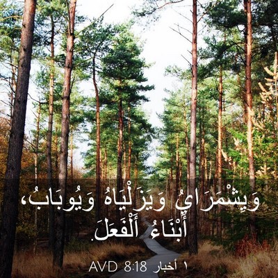 Picture 03 - ١ أخبار 8:18 AVD - وَيِشْمَرَايُ - Bible Verse Picture