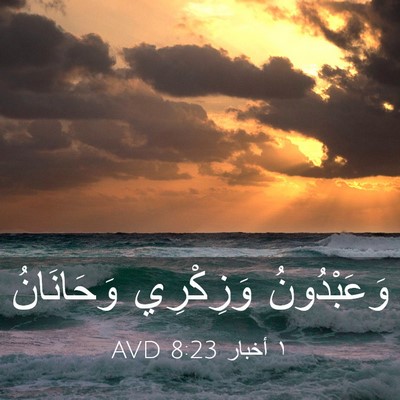 Picture 03 - ١ أخبار 8:23 AVD - وَعَبْدُونُ وَزِكْرِي - Bible Verse Picture