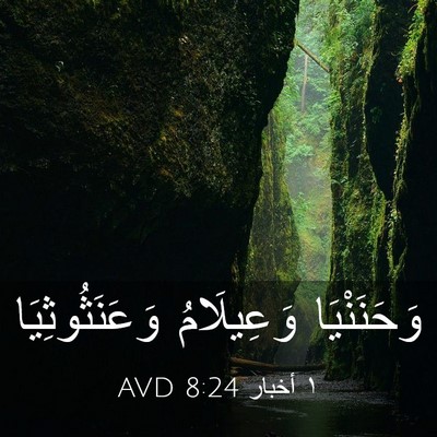Picture 03 - ١ أخبار 8:24 AVD - وَحَنَنْيَا وَعِيلَامُ - Bible Verse Picture