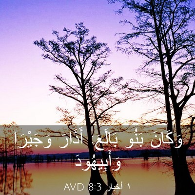 Picture 03 - ١ أخبار 8:3 AVD - وَكَانَ بَنُو بَالَعَ: - Bible Verse Picture