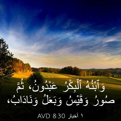 Picture 03 - ١ أخبار 8:30 AVD - وَٱبْنُهُ ٱلْبِكْرُ - Bible Verse Picture