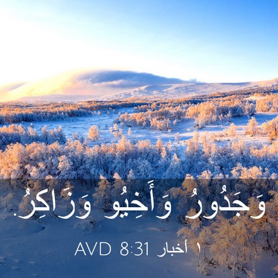 Picture 03 - ١ أخبار 8:31 AVD - وَجَدُورُ وَأَخِيُو - Bible Verse Picture