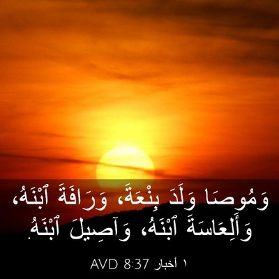 Picture 03 - ١ أخبار 8:37 AVD - وَمُوصَا وَلَدَ بِنْعَةَ، - Bible Verse Picture