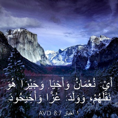 Picture 03 - ١ أخبار 8:7 AVD - أَيْ: نُعْمَانُ وَأَخِيَا. - Bible Verse Picture