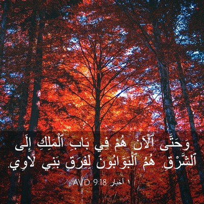 Picture 03 - ١ أخبار 9:18 AVD - وَحَتَّى ٱلْآنَ هُمْ فِي - Bible Verse Picture