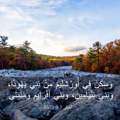 Picture 03 - ١ أخبار 9:3 AVD - وَسَكَنَ فِي أُورُشَلِيمَ - Bible Verse Picture