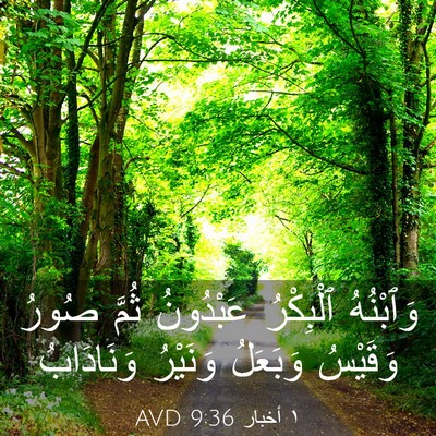 Picture 03 - ١ أخبار 9:36 AVD - وَٱبْنُهُ ٱلْبِكْرُ - Bible Verse Picture