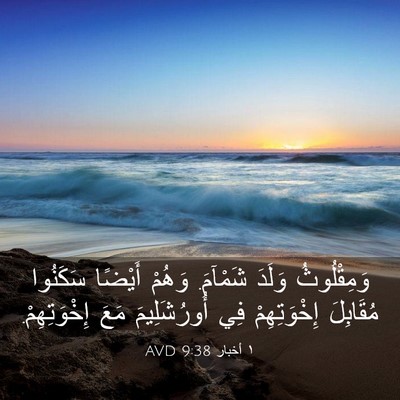 Picture 03 - ١ أخبار 9:38 AVD - وَمِقْلُوثُ وَلَدَ - Bible Verse Picture