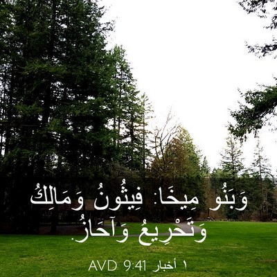 Picture 03 - ١ أخبار 9:41 AVD - وَبَنُو مِيخَا: فِيثُونُ - Bible Verse Picture
