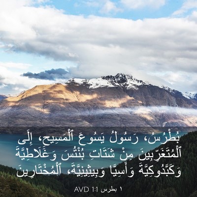 Picture 03 - ١ بطرس 1:1 AVD - بُطْرُسُ، رَسُولُ يَسُوعَ - Bible Verse Picture