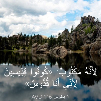 Picture 03 - ١ بطرس 1:16 AVD - لِأَنَّهُ مَكْتُوبٌ: - Bible Verse Picture