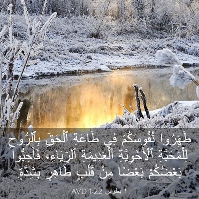 Picture 03 - ١ بطرس 1:22 AVD - طَهِّرُوا نُفُوسَكُمْ فِي - Bible Verse Picture