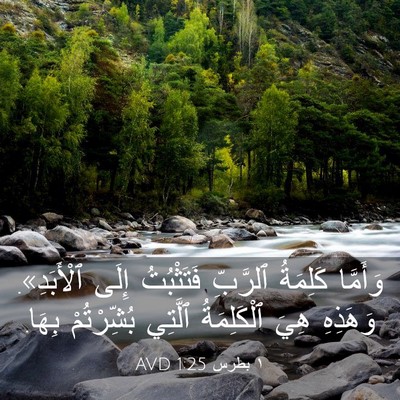 Picture 03 - ١ بطرس 1:25 AVD - وَأَمَّا كَلِمَةُ - Bible Verse Picture