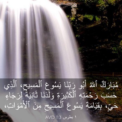 Picture 03 - ١ بطرس 1:3 AVD - مُبَارَكٌ ٱللهُ أَبُو - Bible Verse Picture