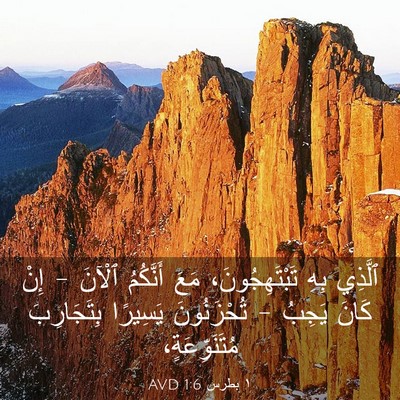 Picture 03 - ١ بطرس 1:6 AVD - ٱلَّذِي بِهِ - Bible Verse Picture