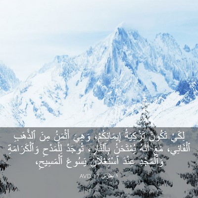 Picture 03 - ١ بطرس 1:7 AVD - لِكَيْ تَكُونَ تَزْكِيَةُ - Bible Verse Picture