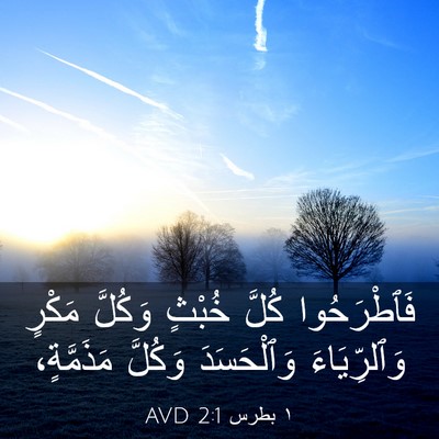 Picture 03 - ١ بطرس 2:1 AVD - فَٱطْرَحُوا كُلَّ خُبْثٍ - Bible Verse Picture