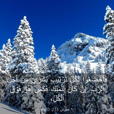 Picture 03 - ١ بطرس 2:13 AVD - فَٱخْضَعُوا لِكُلِّ - Bible Verse Picture
