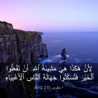 Picture 03 - ١ بطرس 2:15 AVD - لِأَنَّ هَكَذَا هِيَ - Bible Verse Picture