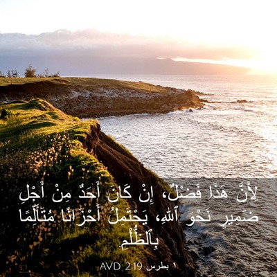 Picture 03 - ١ بطرس 2:19 AVD - لِأَنَّ هَذَا فَضْلٌ، إِنْ - Bible Verse Picture