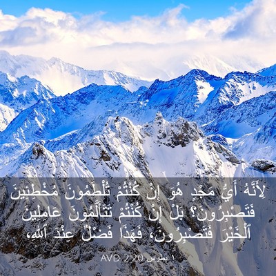 Picture 03 - ١ بطرس 2:20 AVD - لِأَنَّهُ أَيُّ مَجْدٍ - Bible Verse Picture