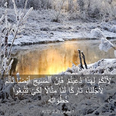 Picture 03 - ١ بطرس 2:21 AVD - لِأَنَّكُمْ لِهَذَا - Bible Verse Picture