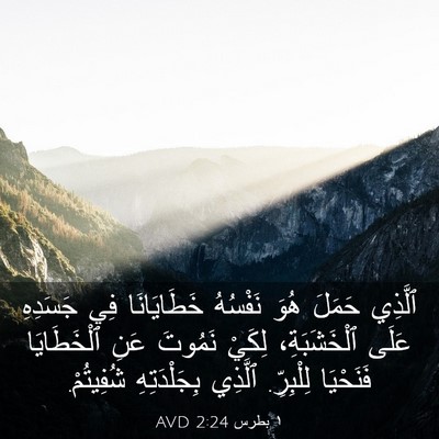 Picture 03 - ١ بطرس 2:24 AVD - ٱلَّذِي حَمَلَ هُوَ - Bible Verse Picture