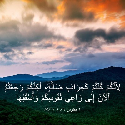 Picture 03 - ١ بطرس 2:25 AVD - لِأَنَّكُمْ كُنْتُمْ - Bible Verse Picture