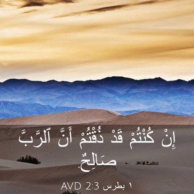 Picture 03 - ١ بطرس 2:3 AVD - إِنْ كُنْتُمْ قَدْ - Bible Verse Picture