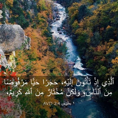 Picture 03 - ١ بطرس 2:4 AVD - ٱلَّذِي إِذْ تَأْتُونَ - Bible Verse Picture