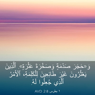 Picture 03 - ١ بطرس 2:8 AVD - وَ«حَجَرَ صَدْمَةٍ - Bible Verse Picture