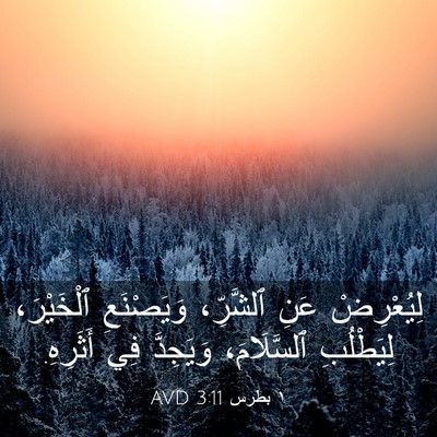 Picture 03 - ١ بطرس 3:11 AVD - لِيُعْرِضْ عَنِ ٱلشَّرِّ، - Bible Verse Picture