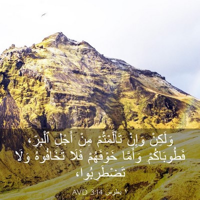 Picture 03 - ١ بطرس 3:14 AVD - وَلَكِنْ وَإِنْ - Bible Verse Picture