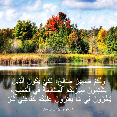 Picture 03 - ١ بطرس 3:16 AVD - وَلَكُمْ ضَمِيرٌ صَالِحٌ، - Bible Verse Picture
