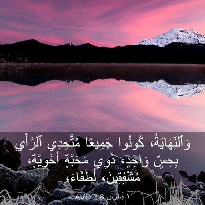 Picture 03 - ١ بطرس 3:8 AVD - وَٱلنِّهَايَةُ، كُونُوا - Bible Verse Picture