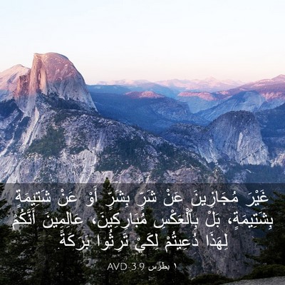Picture 03 - ١ بطرس 3:9 AVD - غَيْرَ مُجَازِينَ عَنْ - Bible Verse Picture