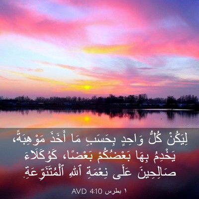 Picture 03 - ١ بطرس 4:10 AVD - لِيَكُنْ كُلُّ وَاحِدٍ - Bible Verse Picture