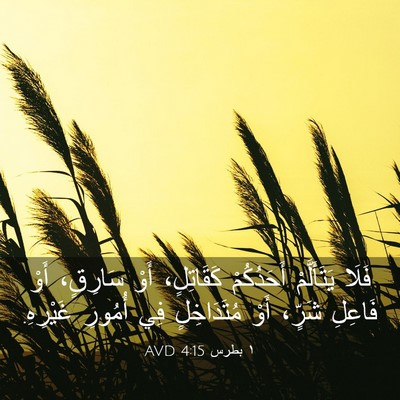 Picture 03 - ١ بطرس 4:15 AVD - فَلَا يَتَأَلَّمْ - Bible Verse Picture