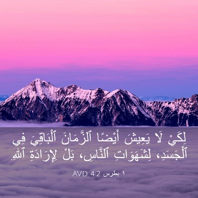 Picture 03 - ١ بطرس 4:2 AVD - لِكَيْ لَا يَعِيشَ أَيْضًا - Bible Verse Picture