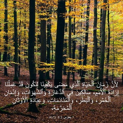 Picture 03 - ١ بطرس 4:3 AVD - لِأَنَّ زَمَانَ - Bible Verse Picture