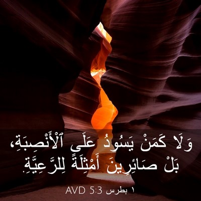 Picture 03 - ١ بطرس 5:3 AVD - وَلَا كَمَنْ يَسُودُ عَلَى - Bible Verse Picture