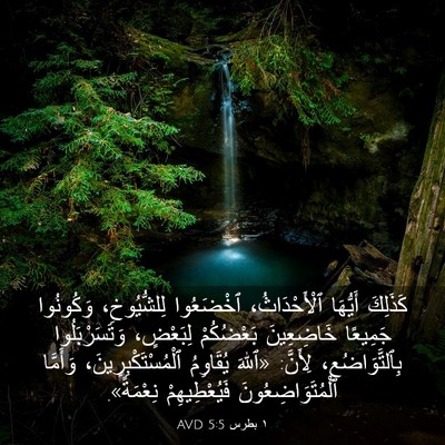 Picture 03 - ١ بطرس 5:5 AVD - كَذَلِكَ أَيُّهَا - Bible Verse Picture