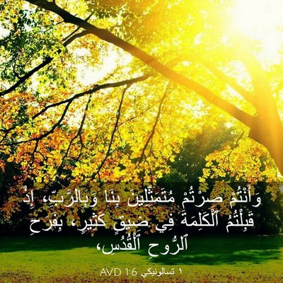 Picture 03 - ١ تسالونيكي 1:6 AVD - وَأَنْتُمْ صِرْتُمْ - Bible Verse Picture