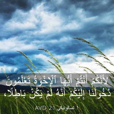 Picture 03 - ١ تسالونيكي 2:1 AVD - لِأَنَّكُمْ أَنْتُمْ - Bible Verse Picture