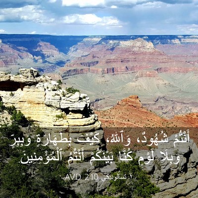 Picture 03 - ١ تسالونيكي 2:10 AVD - أَنْتُمْ شُهُودٌ، - Bible Verse Picture
