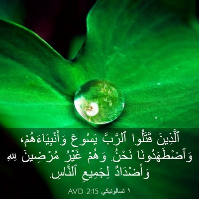 Picture 03 - ١ تسالونيكي 2:15 AVD - ٱلَّذِينَ قَتَلُوا - Bible Verse Picture