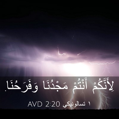 Picture 03 - ١ تسالونيكي 2:20 AVD - لِأَنَّكُمْ أَنْتُمْ - Bible Verse Picture