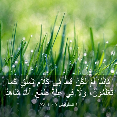 Picture 03 - ١ تسالونيكي 2:5 AVD - فَإِنَّنَا لَمْ نَكُنْ - Bible Verse Picture