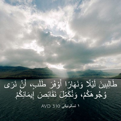 Picture 03 - ١ تسالونيكي 3:10 AVD - طَالِبِينَ لَيْلًا - Bible Verse Picture